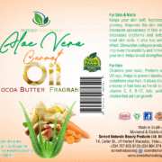 Aloe Vera 3_061343